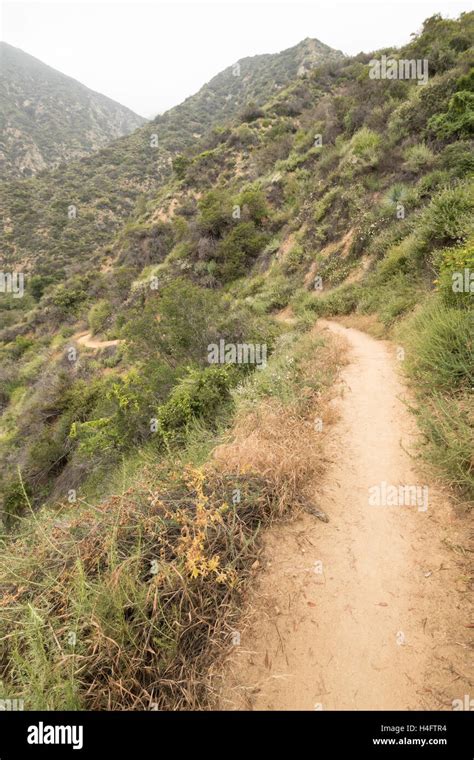 Sierra Madre Mountain Range