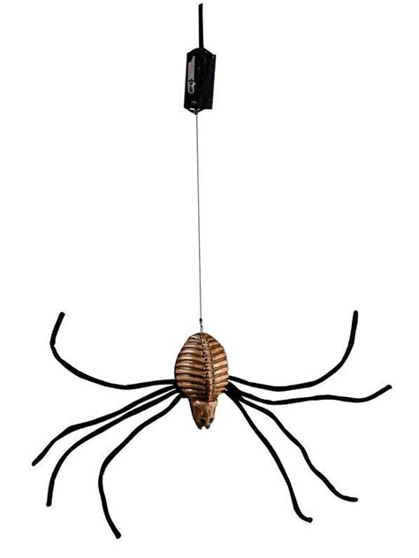 Check Out Drop Down Spider Prop From Wholesale Halloween Costumes