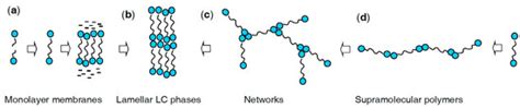 Polymers Free Full Text Effects Of Lateral And Terminal Chains Of X