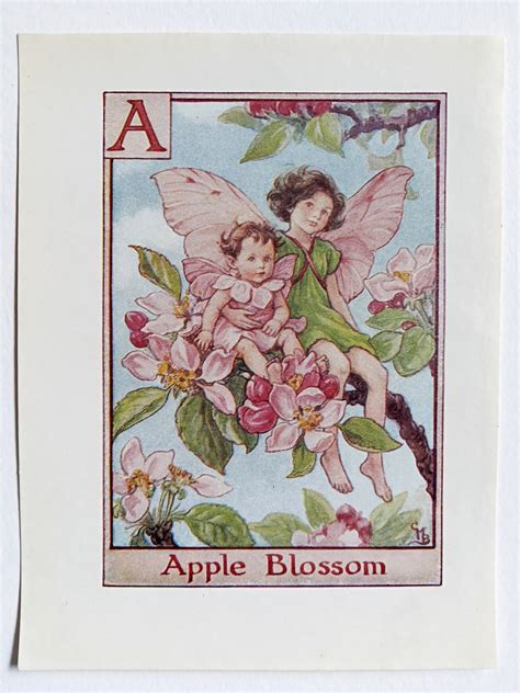 Apple Blossom Flower Fairy Print Flower Fairy Prints