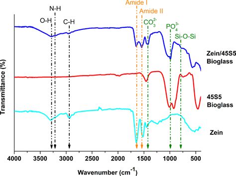 Ftir Spectrum Of Zeinbg Coatings Obtained Via Epd On Mg Substrates Download Scientific Diagram