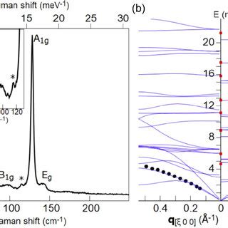 A Low Frequency Raman Spectrum Of InTe Measured At 300 K The X Axis