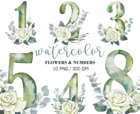 Watercolor Numbers Clipart Floral Number Clip Art White - Etsy