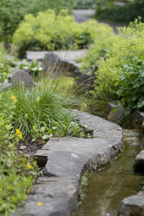 Landscaped Stream in Garden Stock Image - Image of receding, background ...