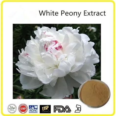 White Peony Root Extract China White Peony Root Extract Manufacturers Suppliers Factory