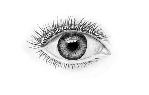 Eye Art Black White Stock Illustrations – 39,247 Eye Art Black White ...