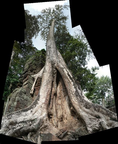 Bayon Temple Angkor Wat Cambodia Nov Photos Were Flickr