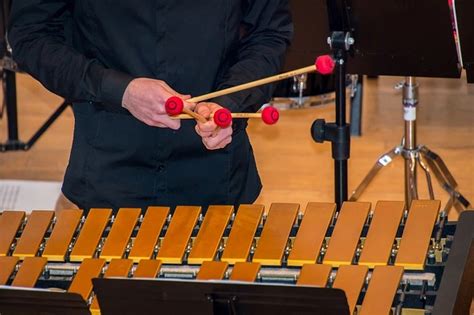 Marimba The Same As A Xylophone Exploring The Differences