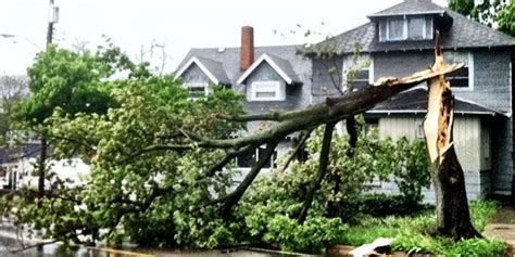 Storm Damage Tree Cleanup | American Tree Service