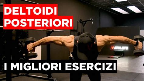 DELTOIDI POSTERIORI I Migliori Esercizi Per Spalle Tonde E Piene YouTube