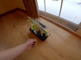 剩余 24 小时 Pornhub Gay