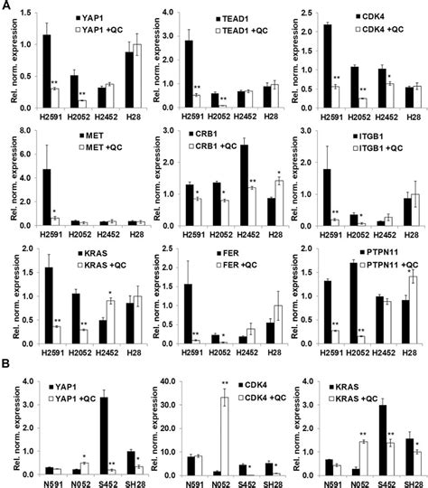 Frontiers Quinacrine Has Preferential Anticancer Effects On