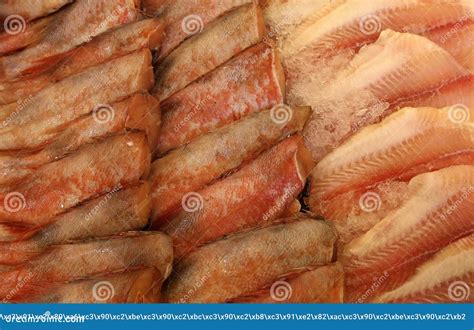 Fresh Frozen Seafood Stock Image Image Of Tasty Store 64437183