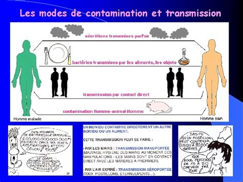 Chapitre Lutte Antimicrobienne Les Modes De Contamination