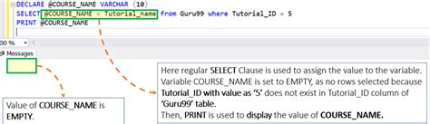 Sql Server Set Table Name As Variable Cabinets Matttroy