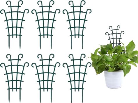 Indoor Small Trellis Pcs Plant Trellis For Climbing Plants Indoor