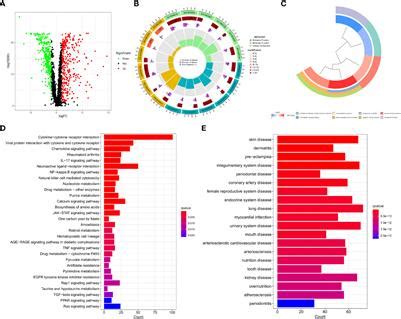 Frontiers Development And Validation Of Prognostic Models For Colon