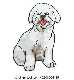 403 Bichon Frise Drawing Images, Stock Photos & Vectors | Shutterstock