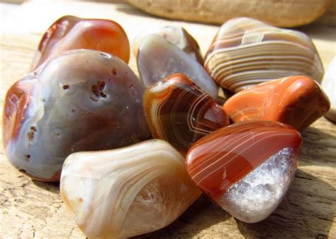 Large Polished Lake Superior Agates Hand Collected Rock Collection