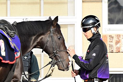 【皐月賞・調教後の馬体重】イクイノックスは492キロ キラーアビリティ468キロ 競馬ニュース・特集なら東スポ競馬