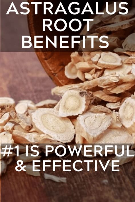 Discover The Top Astragalus Root Benefits 1 Is Just The Beginning