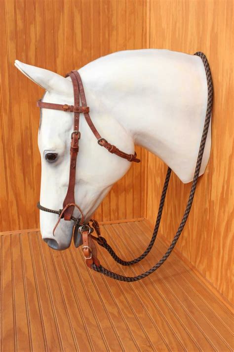 One Of A Kind Loping Hackamores And Bitless Bridles Half Circle Ranch