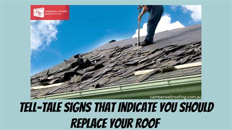 Top Signs You Need A Roof Replacement Expert Tips And Advice