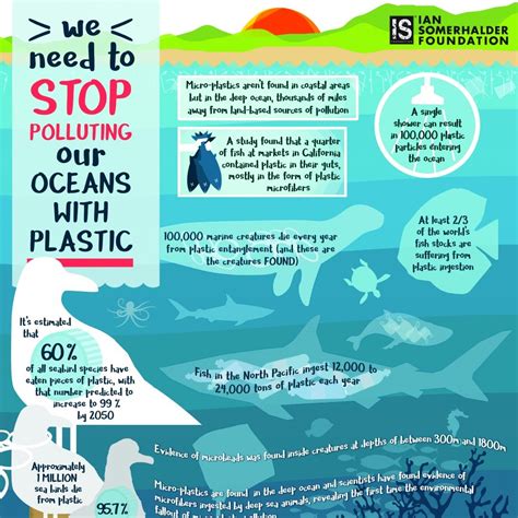 Ocean Plastic Pollution Impact on Animals | Ocean pollution facts, Pollution, Ocean pollution