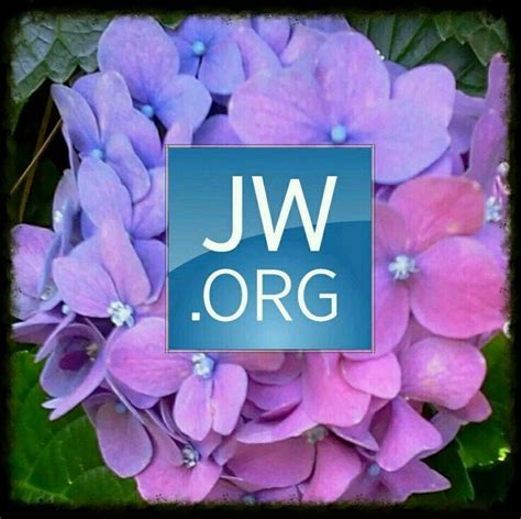 Best Jw Org Logos Images On Pinterest Jehovah S Witnesses Jehovah