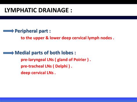 Surgical Anatomy Of Thyroid Gland Ppt