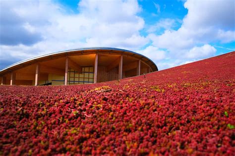 Hans Christian Andersen Museum opens in Odense, Denmark | blooloop