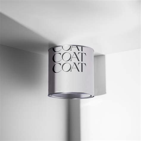 Buy Pure White Ceiling Paint | Spatter-Less | Easy Coverage – COAT Paints