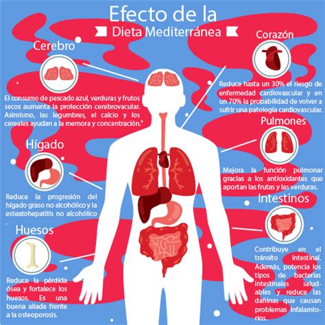 Dieta Mediterránea Sabores Y Beneficios Para Tu Salud Homenaje Al Cocina