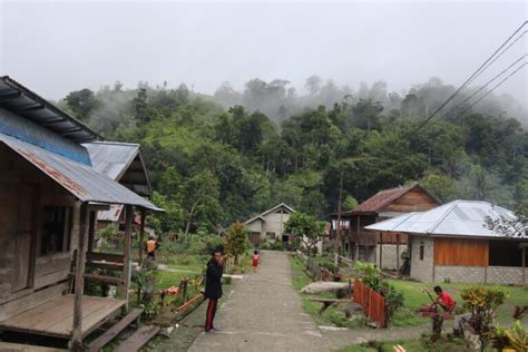 Kearifan Masyarakat Adat Moa Merawat Hutan Benua Indonesia