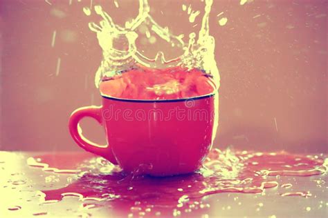 Cup water splash stock photo. Image of speed, cute, liquid - 15275586