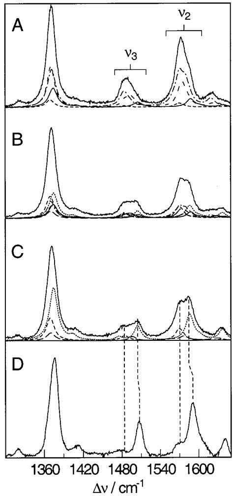 RR Spectra Of Ferric Cyt C In The Marker Band Region Between 1300 And