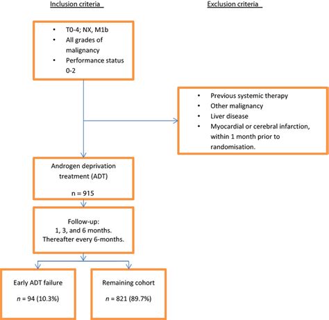 Pathophysiology Of Prostate Cancer In Flow Chart Cancerwalls