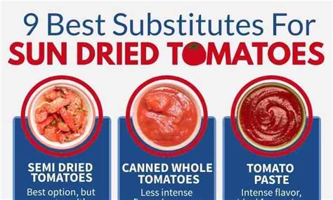 The 9 Best Substitutes For Sundried Tomatoes Infographics Archive