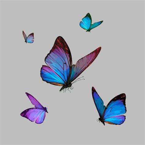 Premium Vector | Vector realistic drawing of beautiful butterfly, monarch butterfly, moth