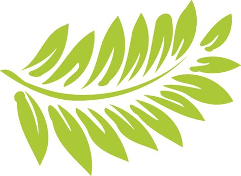 Fern leaves clipart - Clipground