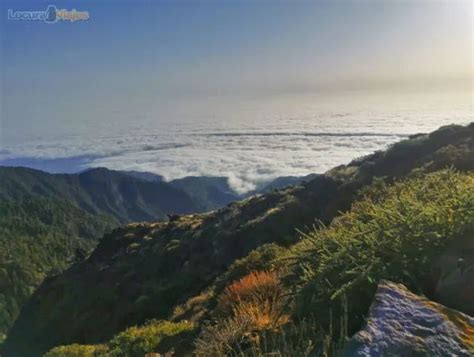 Consejos Que Debes Saber Antes De Viajar A La Palma LocuraViajes