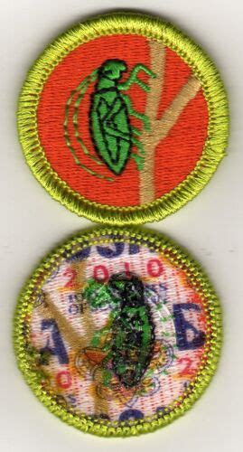 Insect Study Merit Badge Type K Bsa Back Mint Ebay