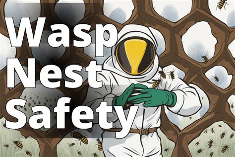 Safe and Effective Wasp Nest Removal: A Complete Guide for Pest Control