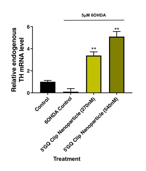 Figure S16 Tyrosine Hydroxylase Mrna Increases As A Function Of Download Scientific Diagram