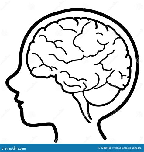 Child Profile With Visible Brain Stock Vector Illustration Of Healthy