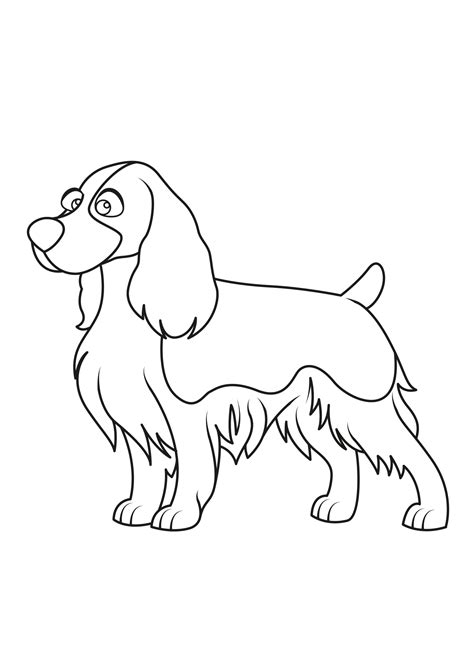 English Springer Spaniel Coloring Pages - ColoringDraft.com