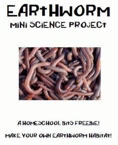 Earthworm Wrangling Aka Vermiculture Educational Links Ideas