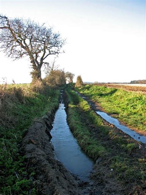 visit north walsham  travel guide  north walsham england expedia