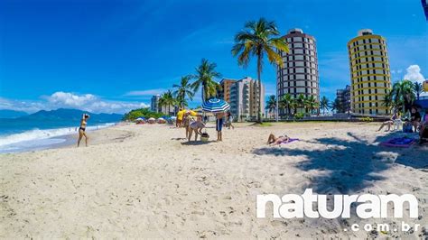 Praia Martim De S Caraguatatuba Guia Completo Naturam