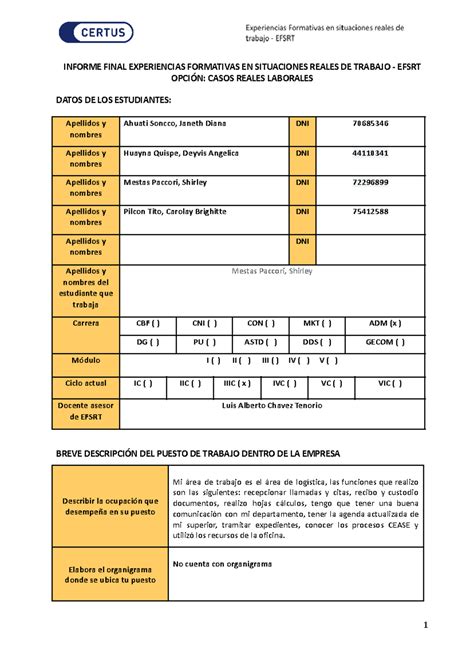 Informe Final Casos Reales Laborales Efsrt INFORME FINAL EXPERIENCIAS